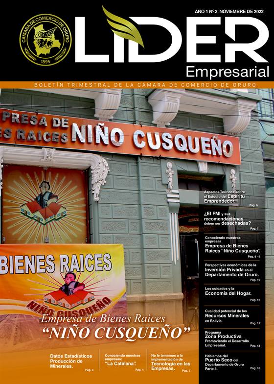 Portada del boletín Líder Empresarial — Edición 3