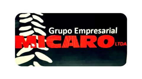 Micaro