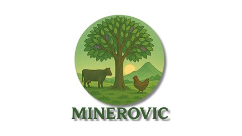 Minerovic