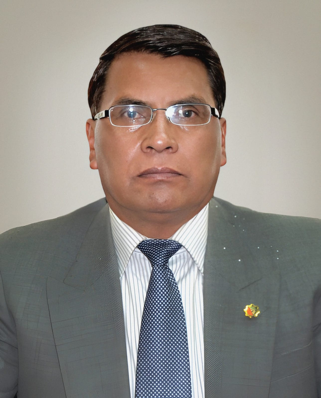 Lic. Elmer Chambilla Garrido