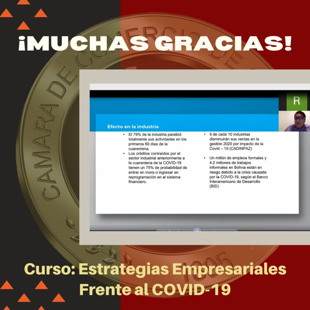 Curso Online: «Estrategias Empresariales frente al COVID-19»